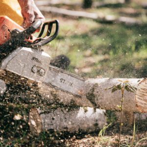 Website Design Digital Advertising for Tree Service Tree Removal Stump Grinding
